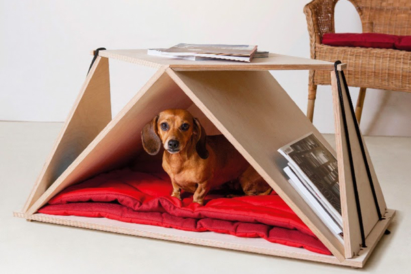использование фанеры в качестве столика и места для собаки